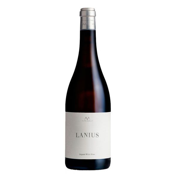 Lanius Alta Alella
