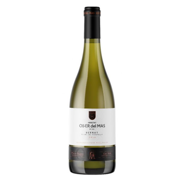 Bernat Oller blanc