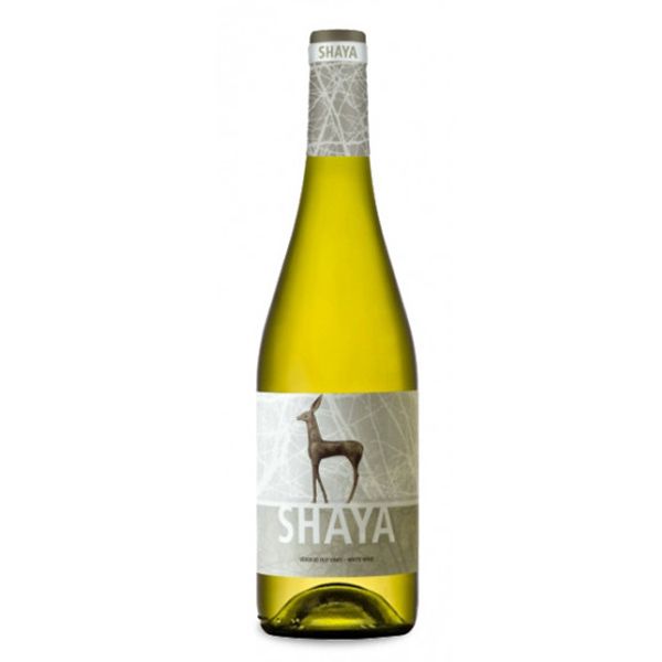 Shaya
