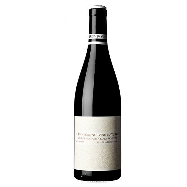 Saltamartí-negre